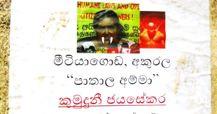 ආණ්ඩුවේ කුලි මැර හමුදා කපිල කුමාරගේ මවට එරෙහිව මහජනයා උසිගැන්විමේ ප්‍රයත්නයක්